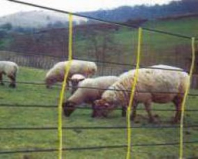 Sheep Netting